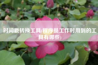 时间戳转换工具(程序员工作时用到的工具有哪些)