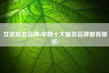 女装知名品牌(中国十大服装品牌都有哪些)