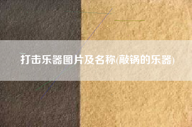打击乐器图片及名称(敲锅的乐器)