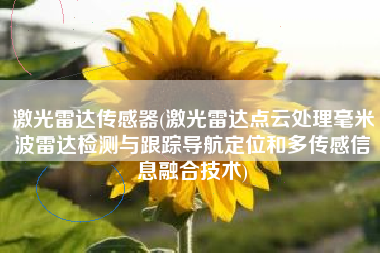 激光雷达传感器(激光雷达点云处理毫米波雷达检测与跟踪导航定位和多传感信息融合技术)
