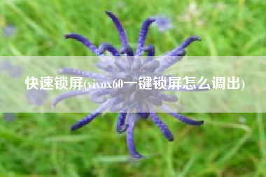 快速锁屏(vivox60一键锁屏怎么调出)