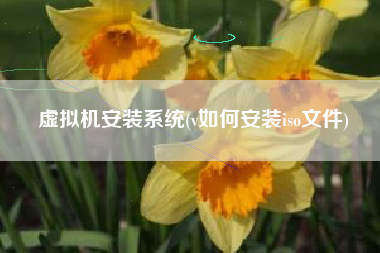 虚拟机安装系统(v如何安装iso文件)