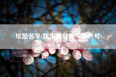 炫酷名字(娱乐圈最霸气的外号)