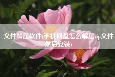 文件解压软件(手机网盘怎么解压zip文件然后安装)