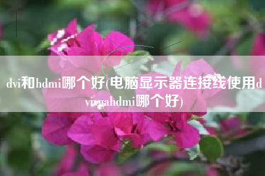 dvi和hdmi哪个好(电脑显示器连接线使用dvivgahdmi哪个好)