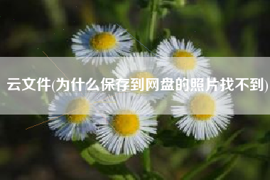 云文件(为什么保存到网盘的照片找不到)