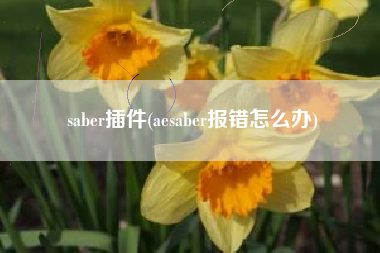 saber插件(aesaber报错怎么办)