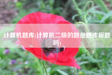 计算机题库(计算机二级的题是题库原题吗)