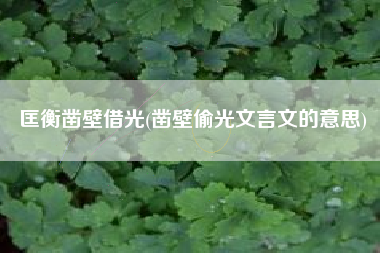 匡衡凿壁借光(凿壁偷光文言文的意思)