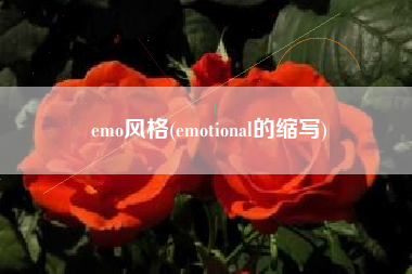 emo风格(emotional的缩写)