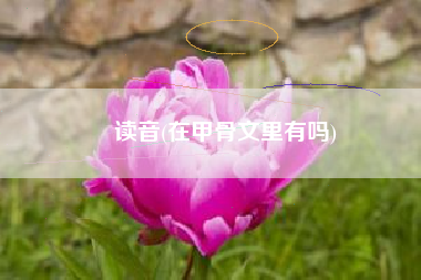 囧读音(在甲骨文里有吗)
