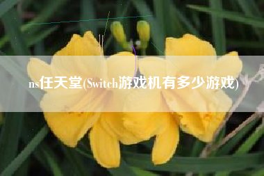 ns任天堂(Switch游戏机有多少游戏)
