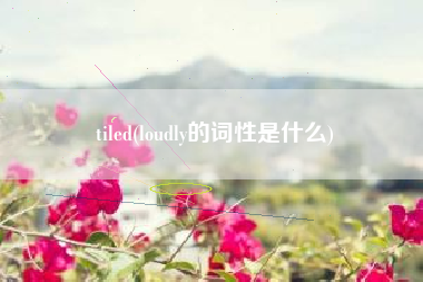 tiled(loudly的词性是什么)