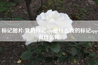 标记图片(我的标记app是什么我的标记app有什么用)