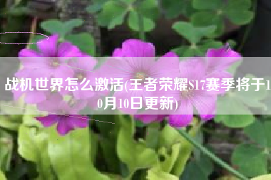 战机世界怎么激活(王者荣耀S17赛季将于10月10日更新)