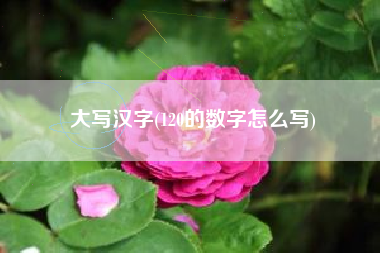 大写汉字(120的数字怎么写)