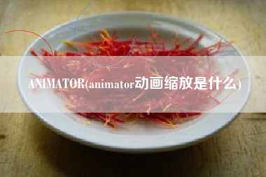 ANIMATOR(animator动画缩放是什么)