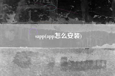 sapp(app怎么安装)