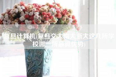 复旦计算机(复旦交大南大浙大这几所学校哪一所最具优势)