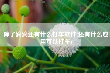 除了滴滴还有什么打车软件(还有什么应用可以打车)