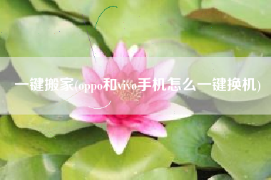 一键搬家(oppo和vivo手机怎么一键换机)