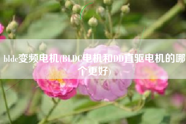 bldc变频电机(BLDC电机和DD直驱电机的哪个更好)