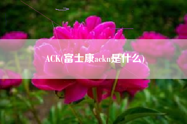 ACK(富士康ackn是什么)