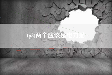 tp3(两个应该是电力猫)
