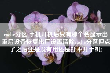 cache分区(手机开机后只有那个会显示出重启设备恢复出厂设置清除cache分区但点了之后还是没有用还是打不开手机)