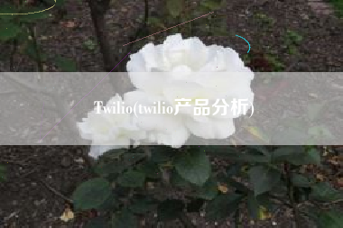 Twilio(twilio产品分析)