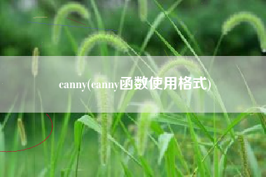 canny(canny函数使用格式)