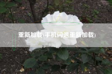 重新加载(手机闪退重新加载)