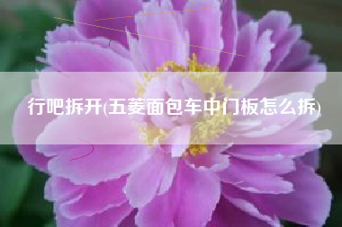 行吧拆开(五菱面包车中门板怎么拆)