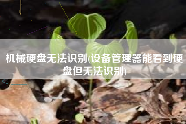 机械硬盘无法识别(设备管理器能看到硬盘但无法识别)
