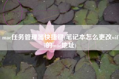 mac任务管理器快捷键(笔记本怎么更改wifi的mac地址)