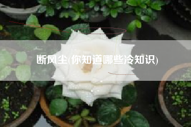 详细阅读:断风尘(你知道哪些冷知识) 断风尘(你知道哪些冷知识)