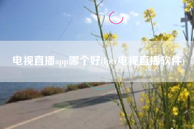 电视直播app哪个好(lptv电视直播软件)