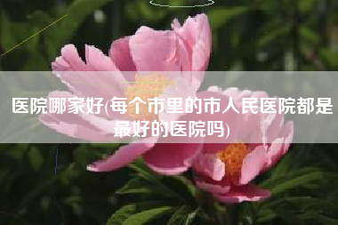 医院哪家好(每个市里的市人民医院都是最好的医院吗)