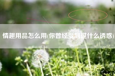 情趣用品怎么用(你曾经受到过什么诱惑)