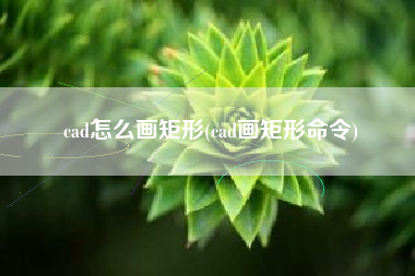 cad怎么画矩形(cad画矩形命令)