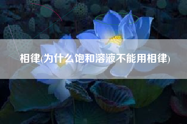 相律(为什么饱和溶液不能用相律)