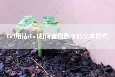 find用法(find如何查找数字的文本格式)