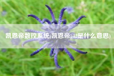 凯恩帝数控系统(凯恩帝g42是什么意思)