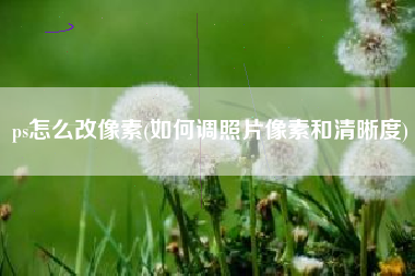 ps怎么改像素(如何调照片像素和清晰度)