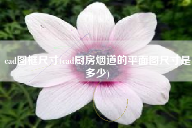 cad图框尺寸(cad厨房烟道的平面图尺寸是多少)