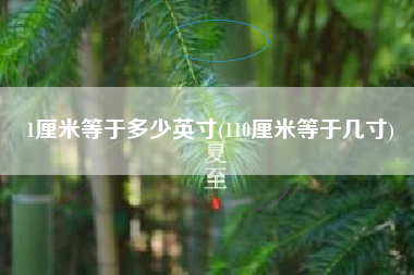 1厘米等于多少英寸(110厘米等于几寸)