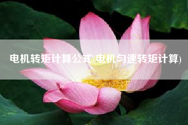 电机转矩计算公式(电机匀速转矩计算)