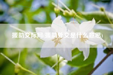 援助交际网(援助外交是什么意思)