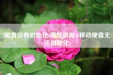 磁盘没有初始化(西部数据4t移动硬盘无法初始化)