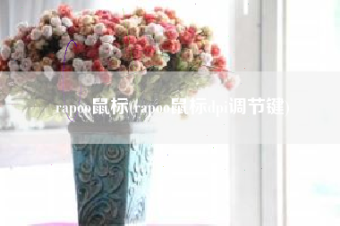 rapoo鼠标(rapoo鼠标dpi调节键)
